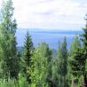 images/Schweden/Schweden 2010/IMG_0064.jpg